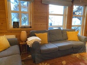 TV connectée, cheminée, Netflix, lecteur de DVD