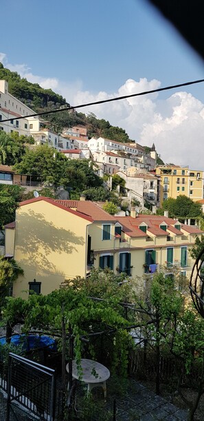 Unclassified image, 5 of 8, button