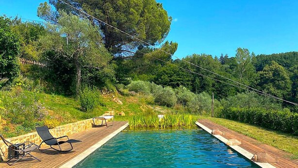 Una piscina rectangular con cubierta de madera, rodeada de abundante vegetación y árboles.