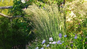 Un jardín con cerca de madera, follaje denso y diversas plantas con flores.