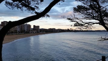 Gandules de platja