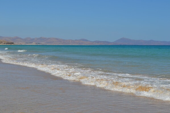 بالقرب من الشاطئ