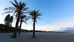 A beach with palm trees and a clear sky.