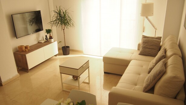 Una sala de estar moderna con sofá, mesa de centro, televisor, planta y lámpara.