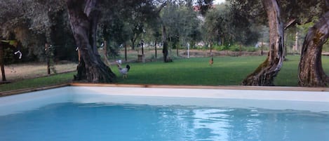 Utomhuspool