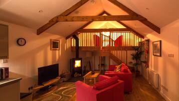 Smart-tv, eldstad, dvd-spelare och böcker