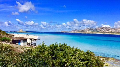 Beautiful sea view apartment in residence Porto pollo (palau)