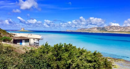 Beautiful sea view apartment in residence Porto pollo (palau)