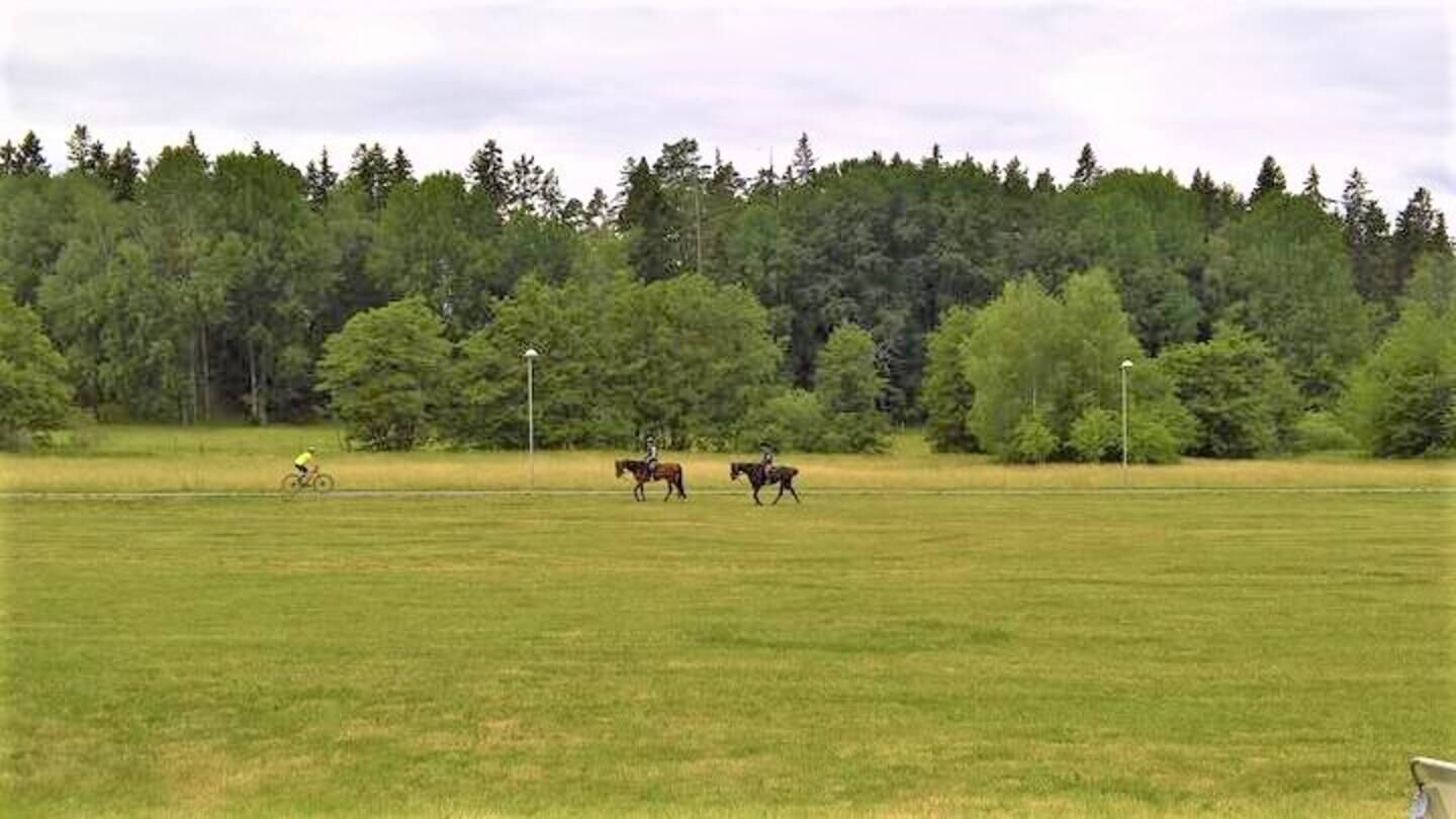 A grassy field with a forest in the background.