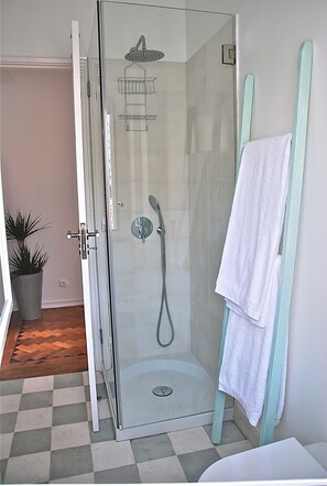 Une douche fermée par des parois en verre, dotée d’un pommeau de douche à main et d’une brosse à main.