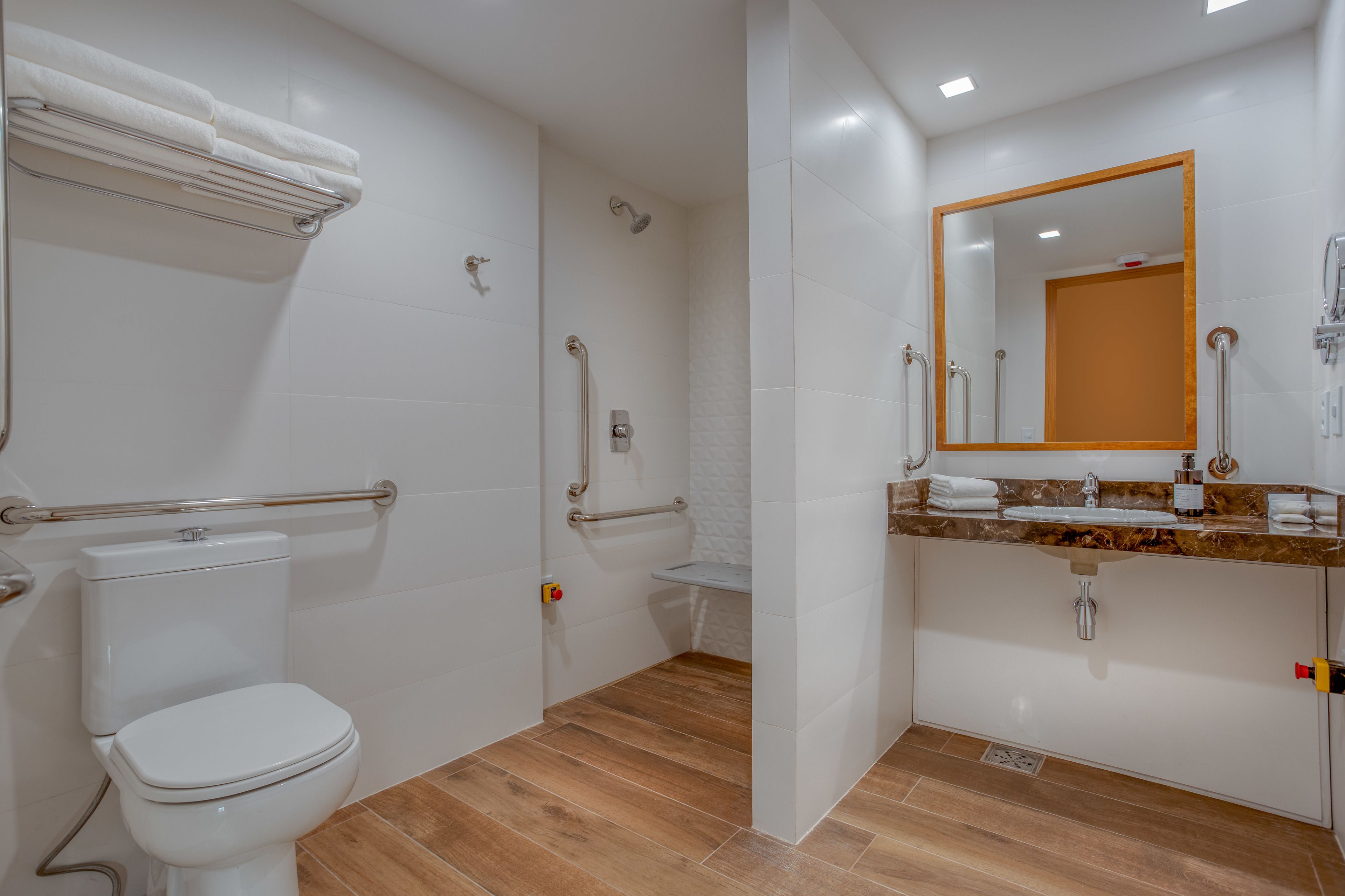 room, 1 queen bed with sofa bed, accessible, non smoking | bathroom | shower, eco-friendly toiletries, towels