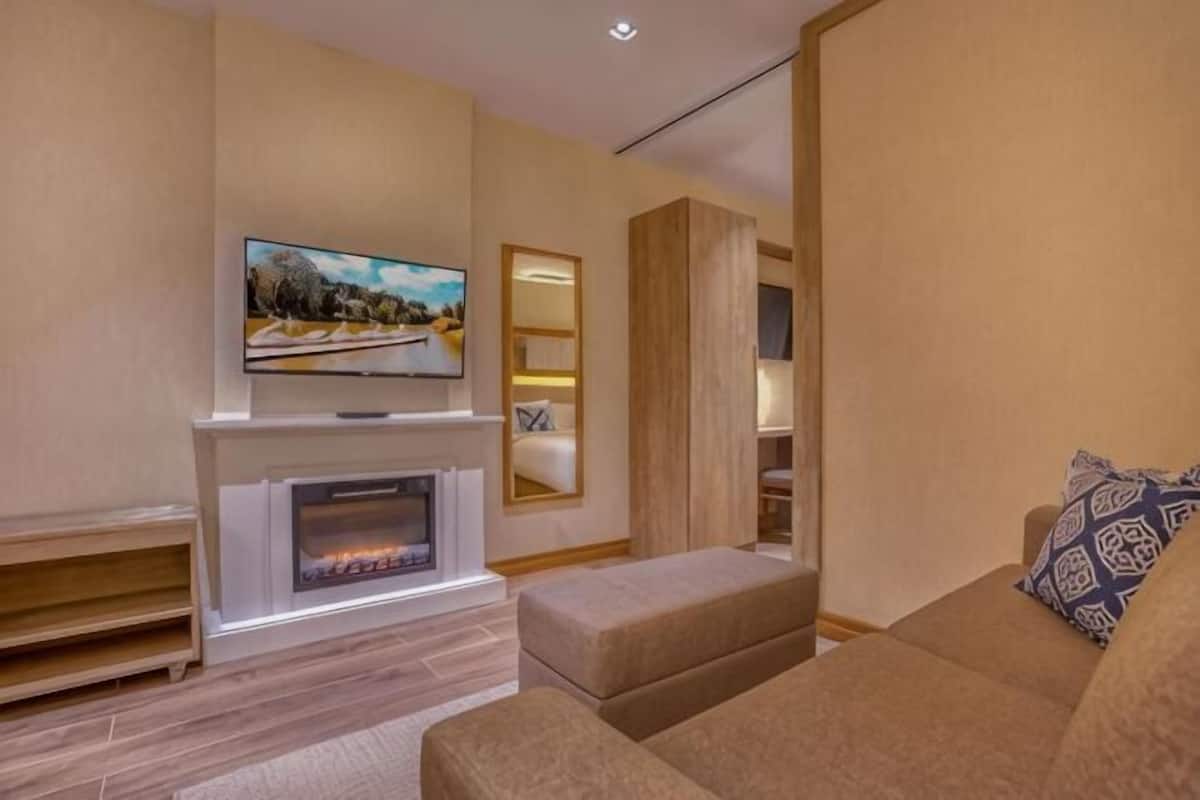 A modern living room with a fireplace, a flat-screen TV, a sofa, and a bookshelf.