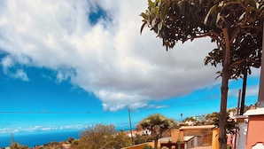Una terraza con vista al mar, plantas en macetas y mobiliario exterior.
