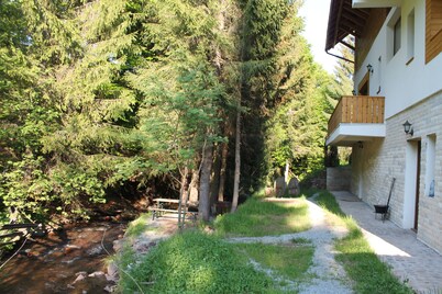 Casa Arnica Montana