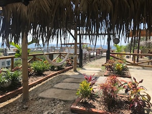 Basic Villa | Garden view