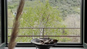 Une vue à travers une fenêtre, avec une plante décorative et une petite table sur laquelle se trouve un bol.