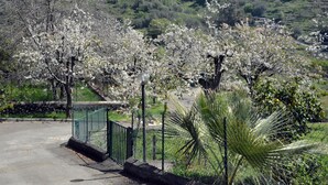 Un espace de stationnement délimité par une clôture verte, un sentier et des arbres aux fleurs blanches.