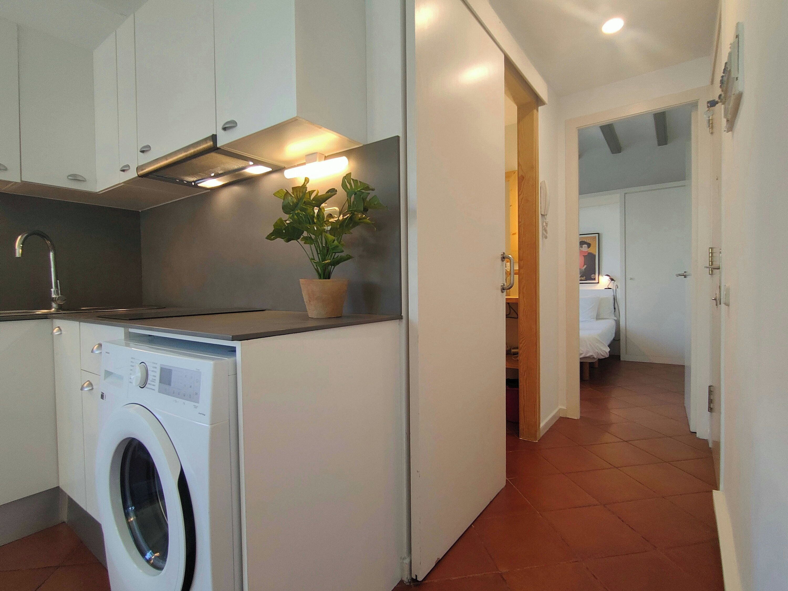 A compact kitchen with a washing machine, a potted plant, and a hallway leading to a bedroom.