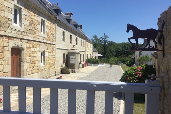 entrée domaine