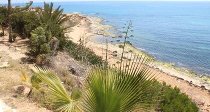 Bungalow facing the sea