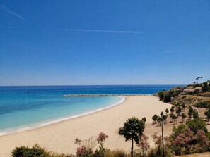 Une plage avec un ciel dégagé, un rivage sablonneux et une rangée d’arbres.