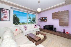 TV - Ionian Bliss apartment with a stunning view to Alykes (Katastari)