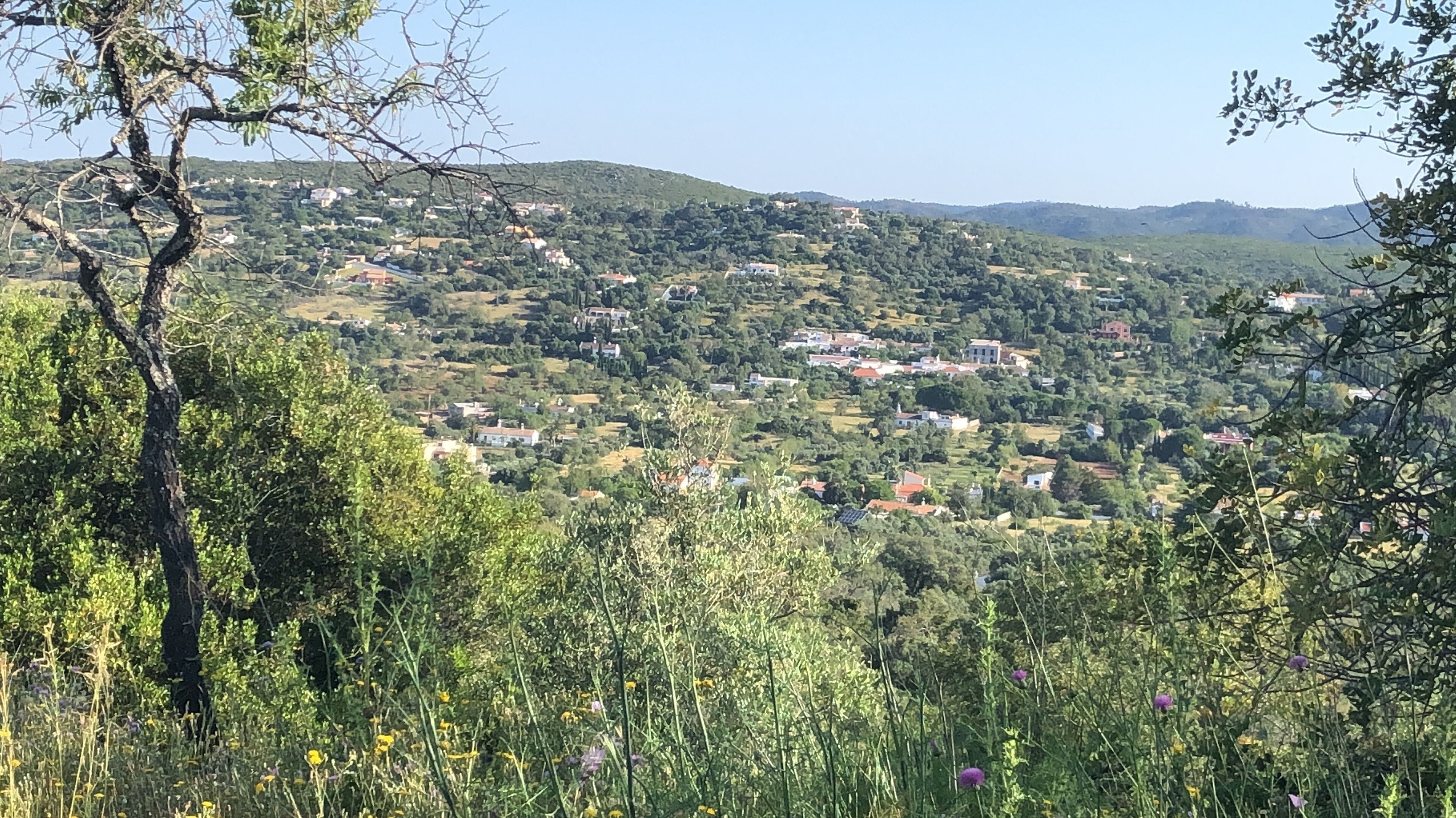 A rural landscape with scattered houses, dense vegetation, and hills in the background.