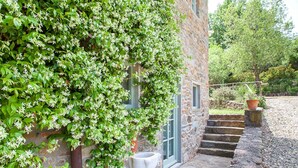 A stone building with a green vine-covered wall, a window, and a stone staircase leading to a door. - Relaxing and stilish home only 30 minutes from Florence in Chianti Region (San Polo in Chianti)