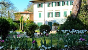 Ein Gebäude mit weißer Fassade und grünen Fensterläden, umgeben von einem Garten mit Tulpen und anderen Blumen.