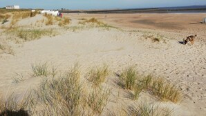 Une plage de sable avec une végétation clairsemée et une étendue d’eau calme.