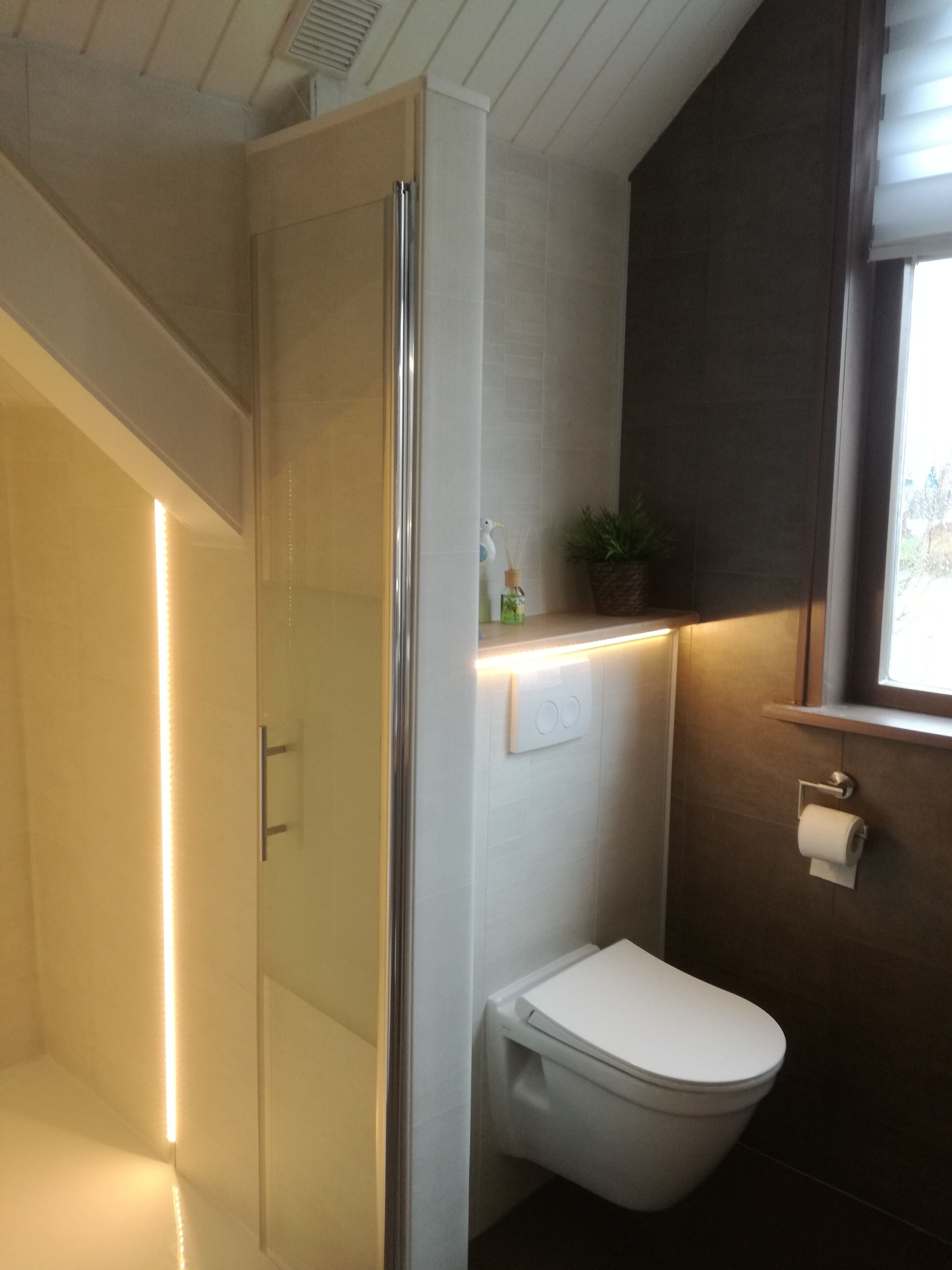 Bathtub, hair dryer, towels, toilet paper
