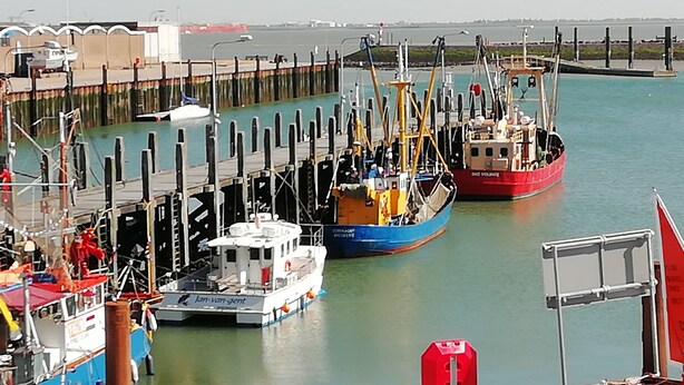 Une jetée où sont amarrés plusieurs bateaux, un ciel dégagé et une étendue d’eau calme.