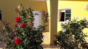 A yellow building with a white door and window, surrounded by rose bushes with red and white flowers.