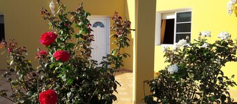Finca Los Rosales, rural house located in the La Lajita Valley, Fuerteventura.