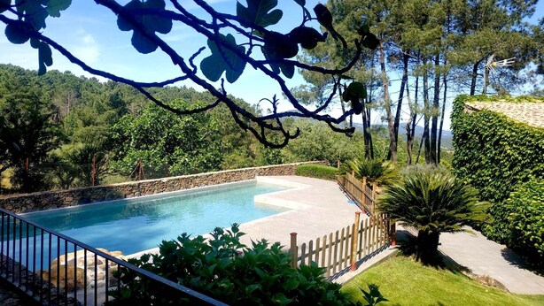A swimming pool surrounded by stone walls, with a wooden fence and lush greenery in the background.