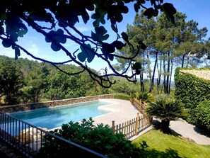 A swimming pool surrounded by stone walls, with a wooden fence and lush greenery in the background.