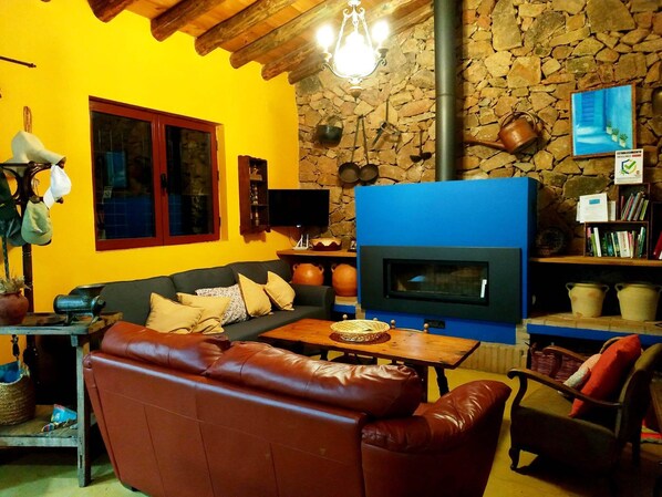 A cozy living room with a stone wall, a blue wood-burning stove, a leather sofa, and a bookshelf.