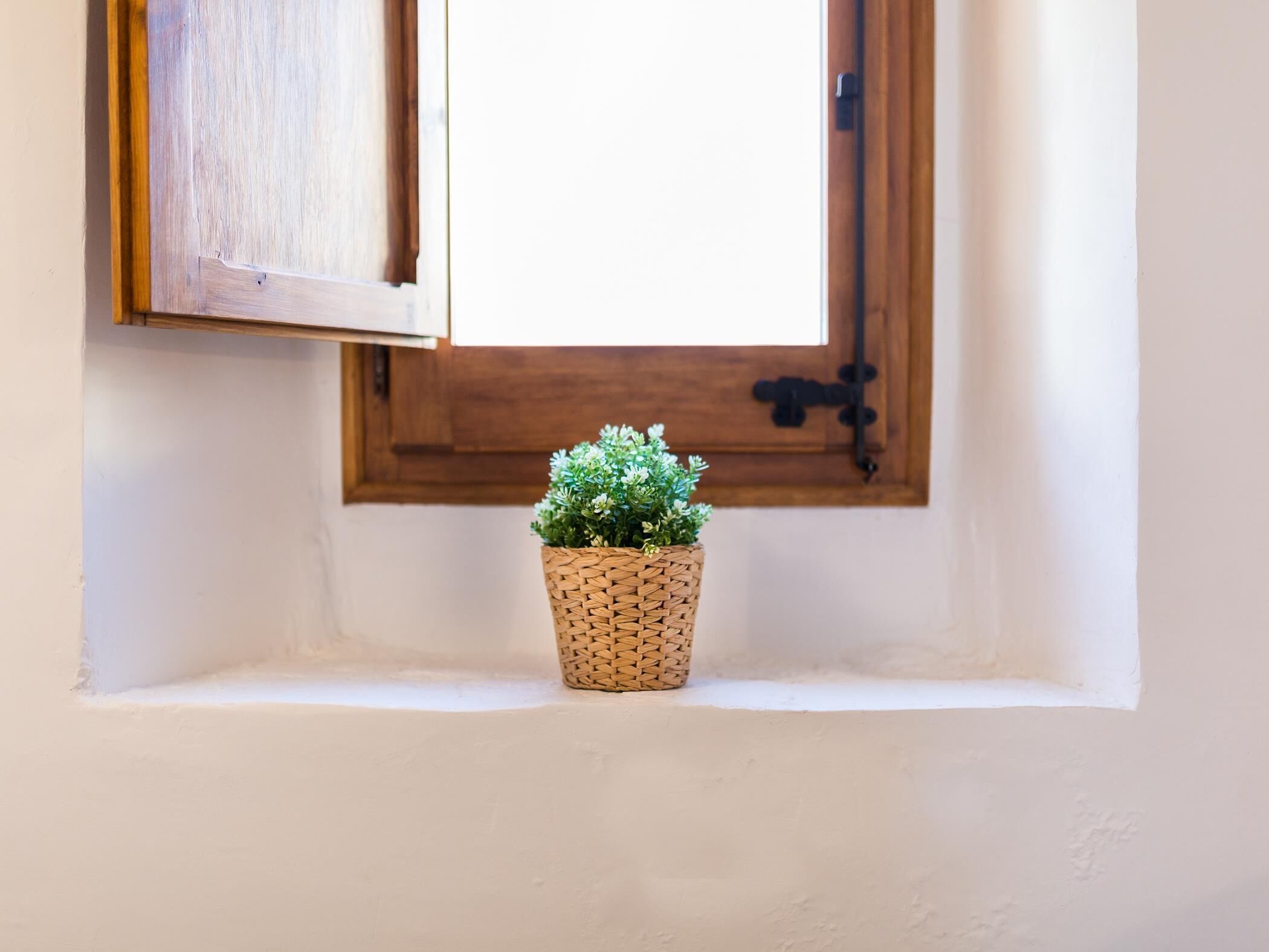 A small potted plant on a ledge under a window with a wooden frame and a metal handle.