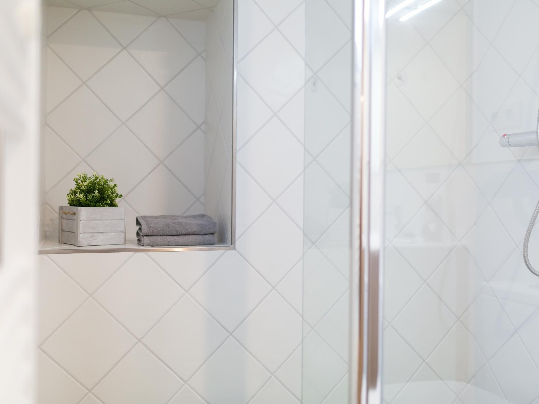 Eine Dusche mit Glastür, eine kleine Ablage mit Pflanze und Handtuch sowie eine geflieste Wand.
