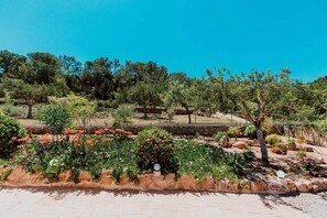 Property grounds - CAN XUMEU  A cosy house with pool, barbecue and sea views, 2 km from the beach (san agustin)