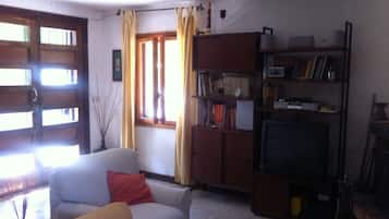 TV, fireplace, DVD player, books