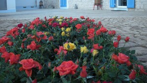 A courtyard with a flower bed of roses in front of a building with stone walls and blue shutters. - La Meridiana holiday home (Donnalucata ( Ragusa))