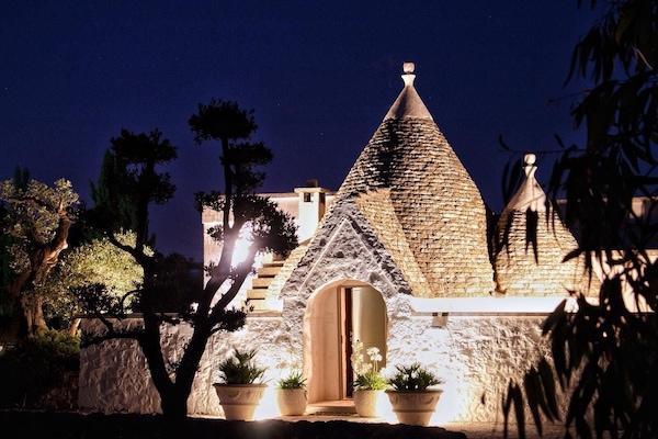 NIGHT ELEVATION
