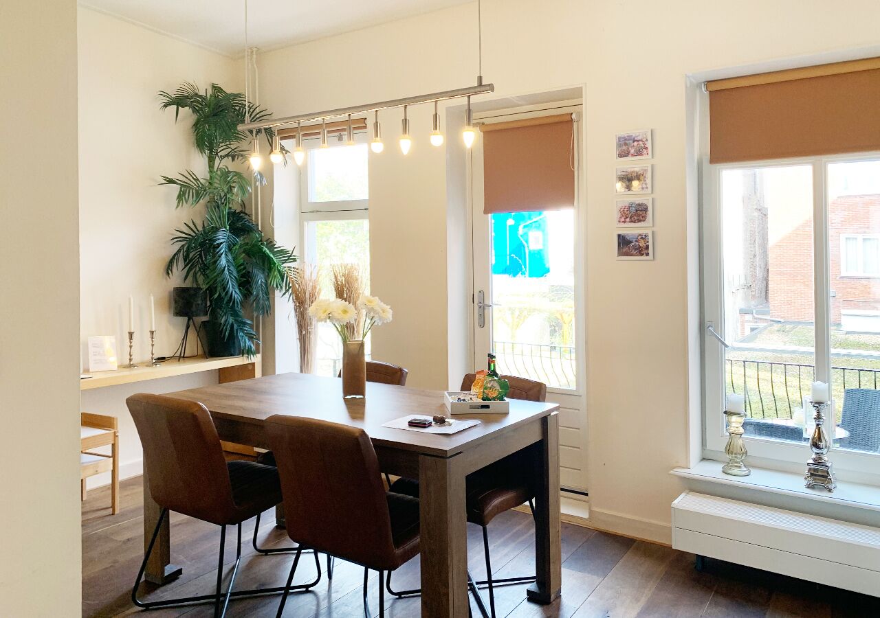 A dining area with a wooden table, brown chairs, a potted plant, and a window with a view of a building.