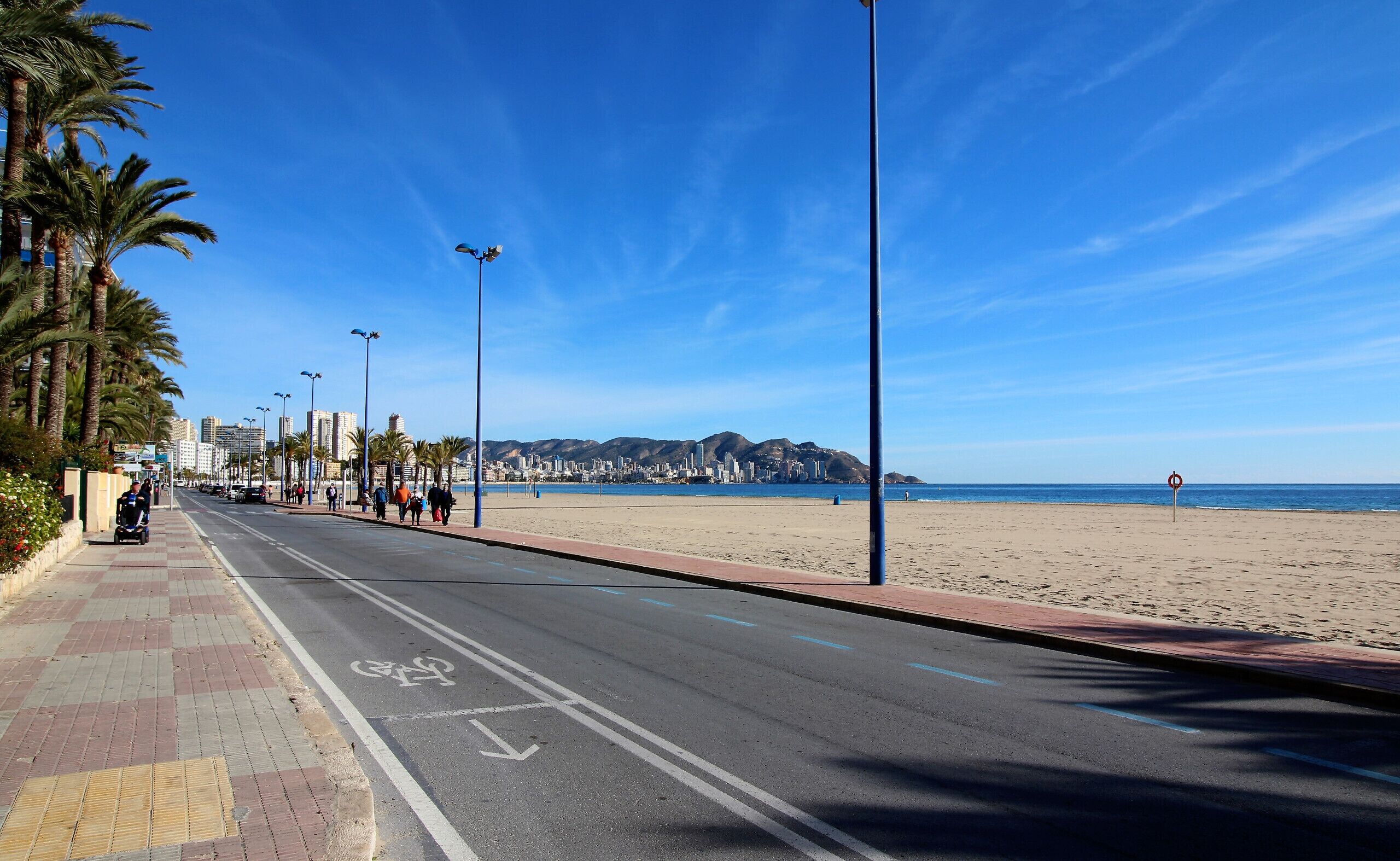 Una carretera costera con un carril bici, palmeras y una playa al fondo.
