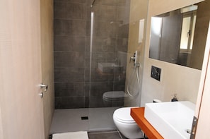 Regadera, secadora de cabello, bidet, toallas