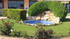 Um jardim ajardinado com piscina, rodeado por sebes bem aparadas e plantas floridas.