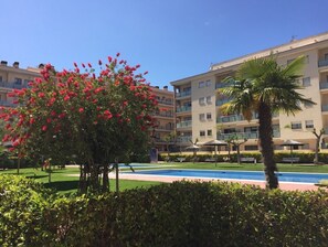 Uima-allas