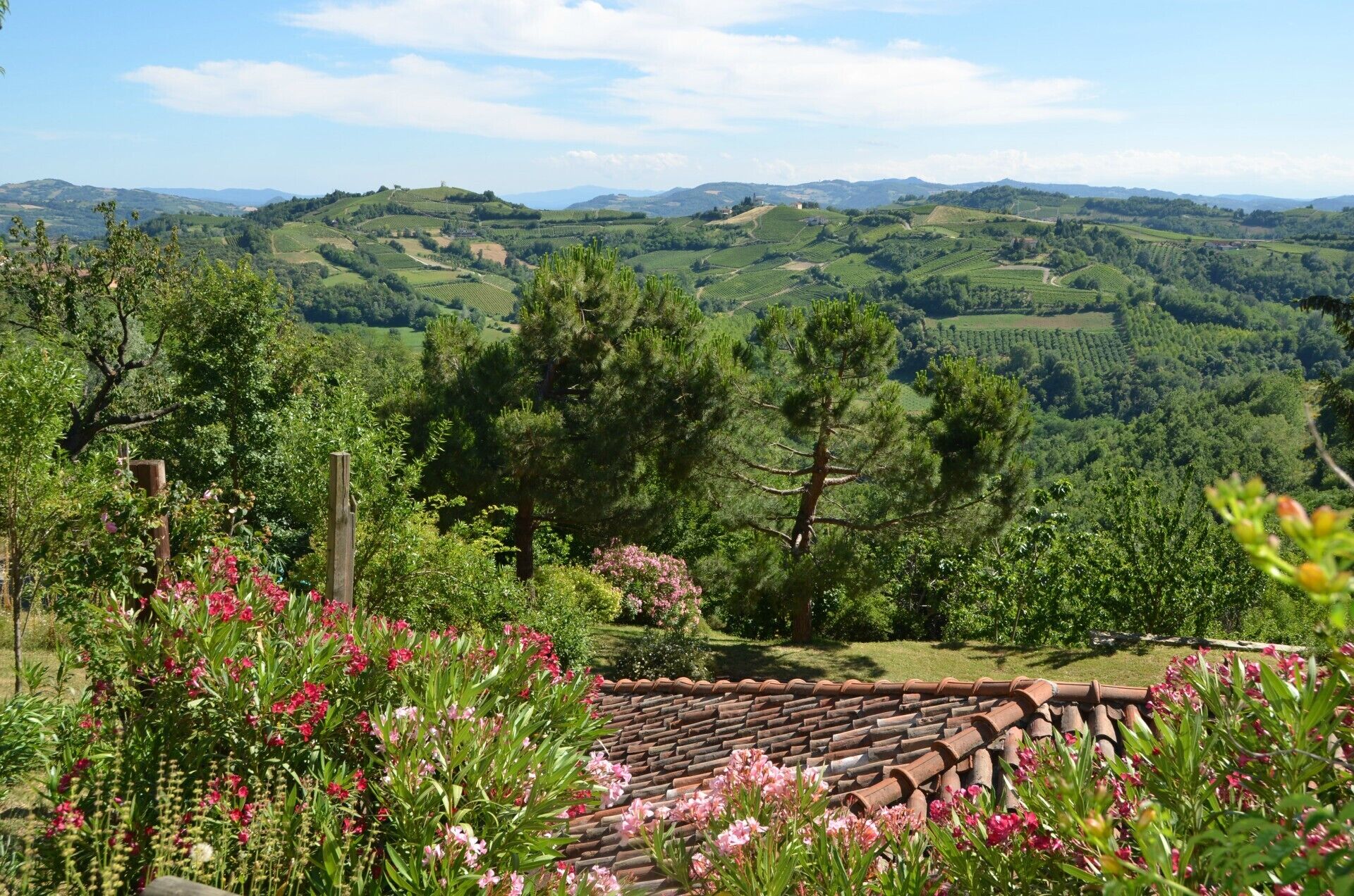 Terrein van de accommodatie