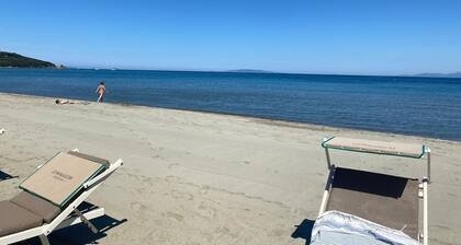 Villa Picci in pine forest 5 minutes by bike from the sea, 15 minutes on foot